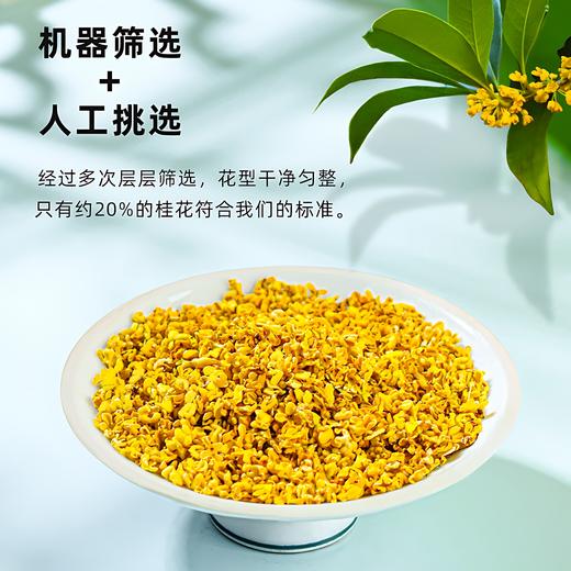 与辉同行同款【谢大高】冻干桂花茶 饱满大朵 桂花甜香交织蜜饯香 商品图1