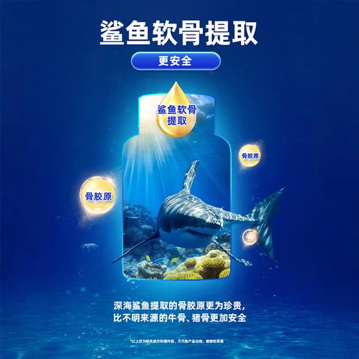 【俄罗斯】Doctor Ocean海之养关节灵氨糖软骨素60粒呵护关节健康 商品图3