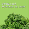 羽衣甘蓝 新鲜蔬菜（多规格可选） 商品缩略图0