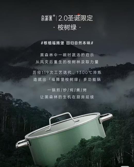 【6F】WMF德国原装进口奈彩米2.0汤锅（桉树绿） 商品图2