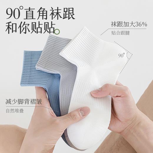 【超值6双】拾袜记春夏款网眼艾草精油袜礼盒 男款/女款 棉袜吸汗透气 耐磨舒适 多色可选 商品图5