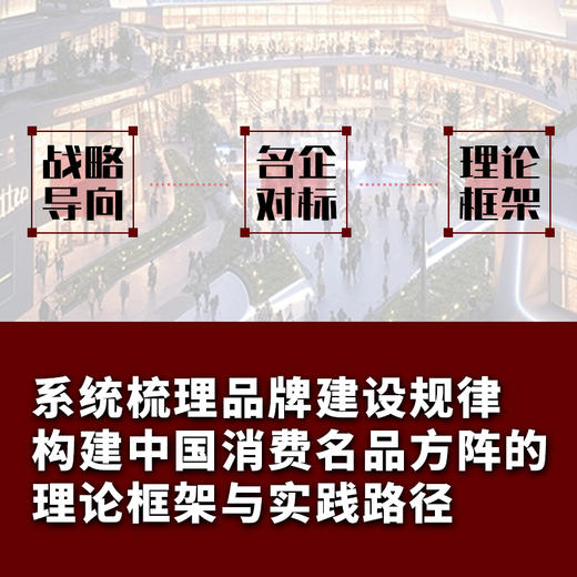 中国消费名品方阵：构建机制、历史经验与实现路径 品 建设消费升级政策研究案例实操书籍 商品图2