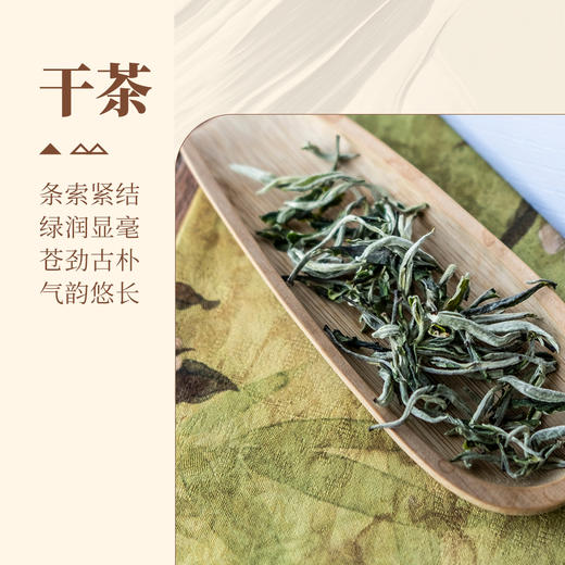 2026头春第一批绿茶 商品图9