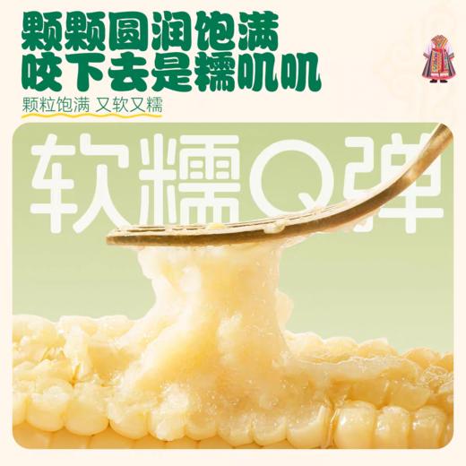 云巅甄选版纳拇指玉米 商品图2