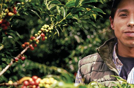 【北京】铂澜咖啡学院 ｘ QIMA 厄瓜多尔小农珍藏竞拍分享会 商品图0