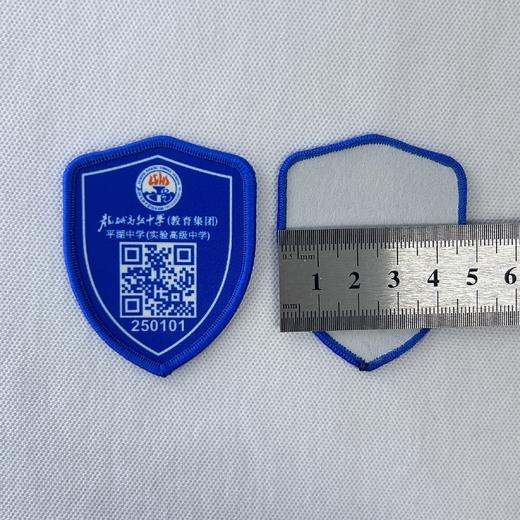 定制龙城高级中学（教育集团）平湖中学（实验高级中学）校徽包邮51 商品图4
