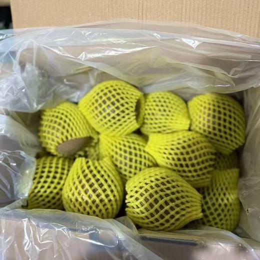 （包邮）苮食～蜜桃百香果【大果 净重约2斤】~它可不是普通红百香果！切开就是一兜汁水，带着蜜桃的香味，香喷喷的，甜多一丢丢的酸，比黄金百香果还要好吃，超级推荐！ 商品图3