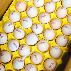 贵州五谷虫草鸡蛋