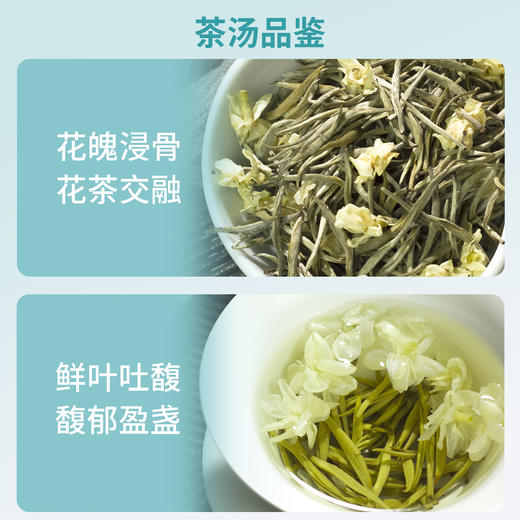 ZS与辉同行同款茉莉绿茶系列【谢大高】 茉莉春雪&茉莉雪竹&茉莉飘雪  商品图11