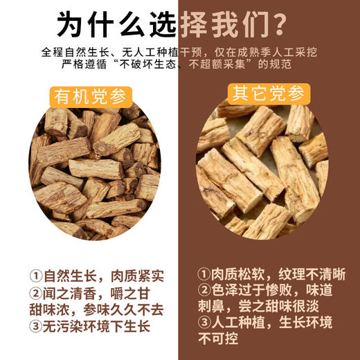 古法有机小米炒党参 100g/罐装 商品图3