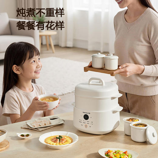 九阳电炖锅隔水炖婴儿辅食锅宝宝煮粥燕窝煲汤锅一锅五胆陶瓷炖盅 商品图9