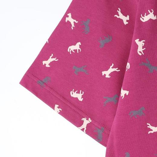 26T136SDSA男装2026新款高贵轻奢潮牌时尚撞色小马印花圆领短袖T恤百搭 商品图4