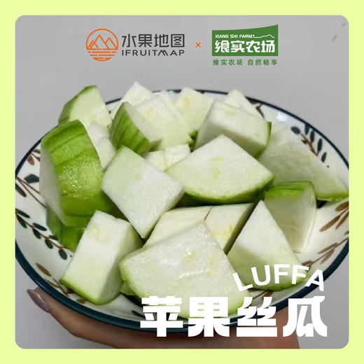 【苹果丝瓜】口感清爽，鲜美嫩滑，丝瓜味浓，源自中国宝岛台湾的稀奇新品种，营养丰富 商品图3