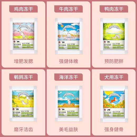 爱立方猫粮冻干猫零食牛肉鸭肉鸡肉鹌鹑冻干肉猫咪冻干猫粮试吃装 商品图1