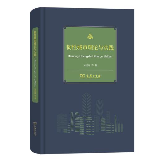 韧性城市理论与实践 商品图0