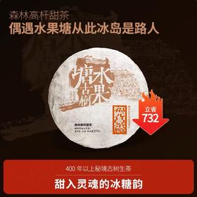 【特别分享】2023年秘境水果塘古树纯料357克生饼