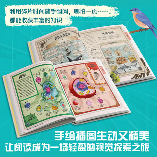DK图解万物 商品图4
