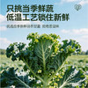 馥十七 益生菌羽衣甘蓝粉新鲜羽衣甘蓝粉含量98%【赠水杯一个】 商品缩略图1