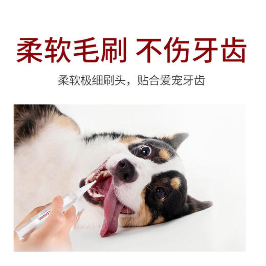 Kojima宠物洁牙笔美牙笔凝胶猫咪狗狗口腔清洁套装口臭牙垢牙结石 商品图1