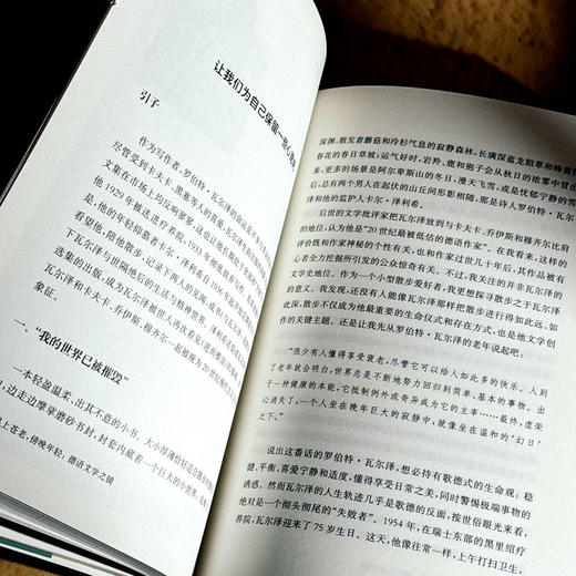 早上苍老 傍晚年轻 德语文学之镜 豆瓣2024年度译者黄雪媛首部文学随笔集 商品图11