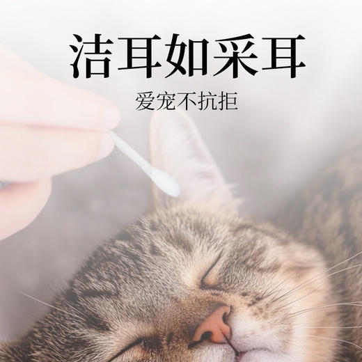 KOJIMA ECO跨境宠物用品精油棉签耳部耳螨洗耳水滴耳液清洁棉棒 商品图2
