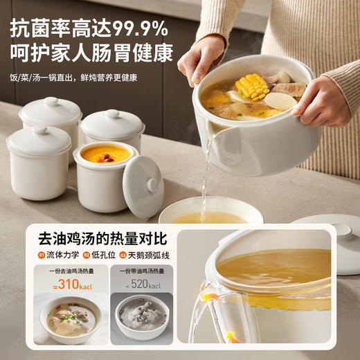 九阳电炖锅隔水炖婴儿辅食锅宝宝煮粥燕窝煲汤锅一锅五胆陶瓷炖盅 商品图2