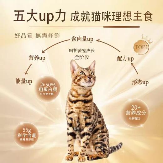 NiYa妮吖全价主食墩墩奶糕拉丝厚肉三文鱼牛初乳猫零食杯湿粮罐 商品图3