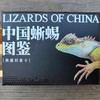 “中国蜥蜴图鉴【主题卡牌】” 爬友爬虫爱好者典藏 科普收藏卡 海峡书局【官方正版 48小时发货】 商品缩略图1