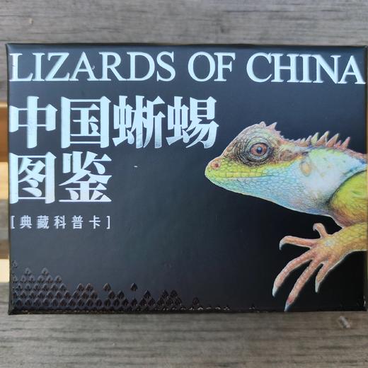 “中国蜥蜴图鉴【主题卡牌】” 爬友爬虫爱好者典藏 科普收藏卡 海峡书局【官方正版 48小时发货】 商品图1