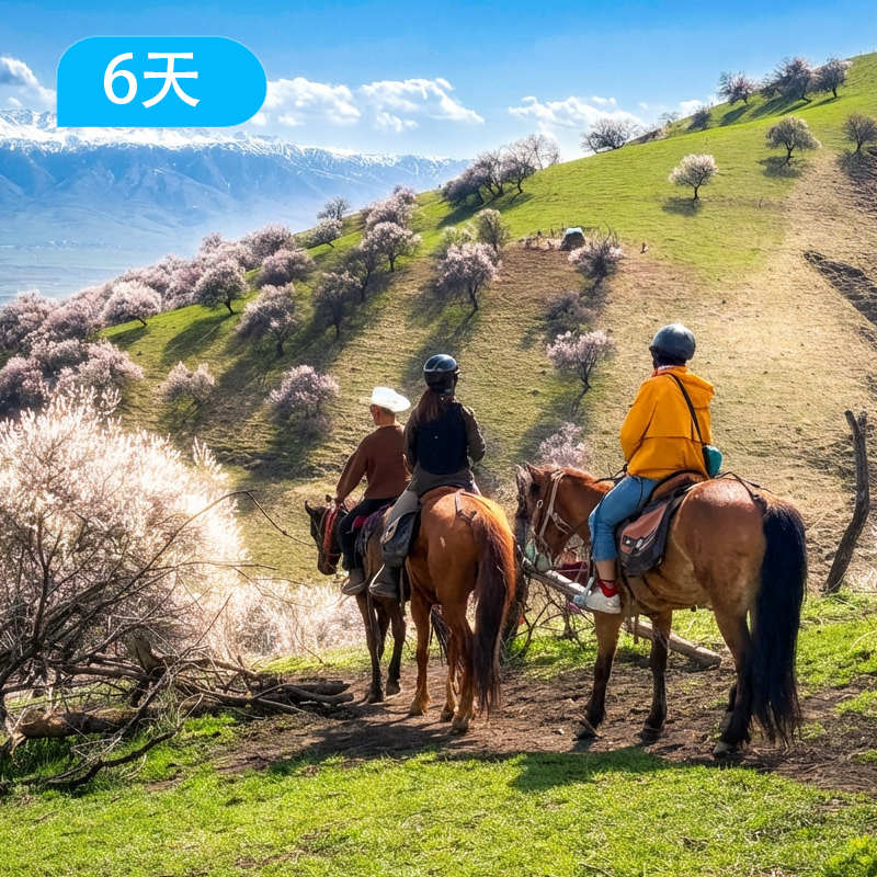 马背·骑跃世界｜库尔德宁+吐尔根杏花沟策马寻花6日