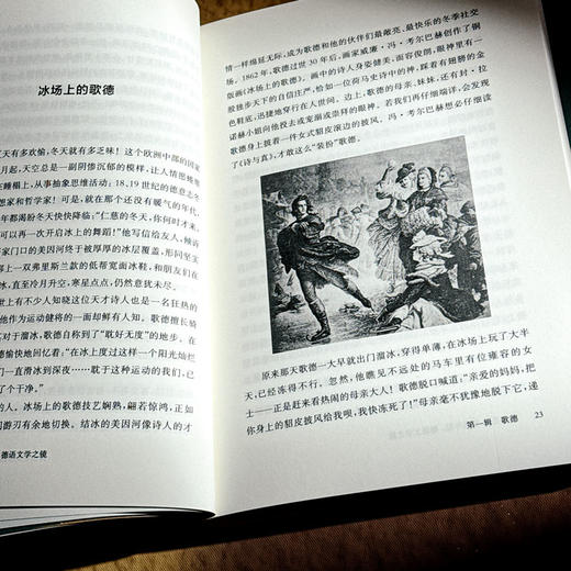 早上苍老 傍晚年轻 德语文学之镜 豆瓣2024年度译者黄雪媛首部文学随笔集 商品图8