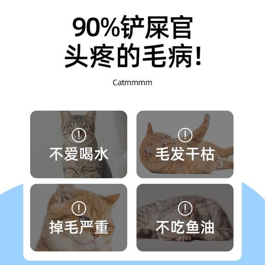 喵铮铮肉蛋奶主食罐头 85g/罐 猫咪营养补水湿粮奶昔慕斯 商品图1