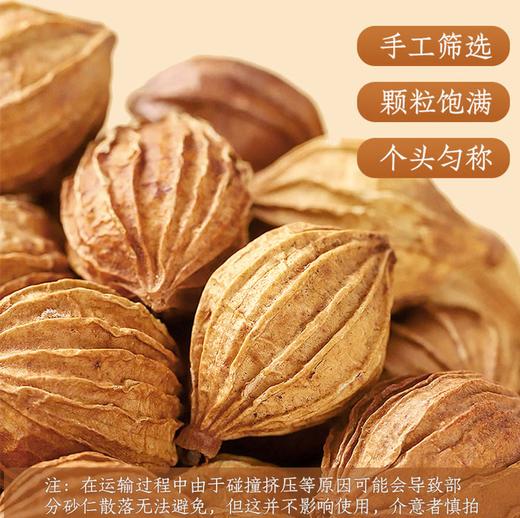 【SF】砂仁 厨房调味品 商品图0