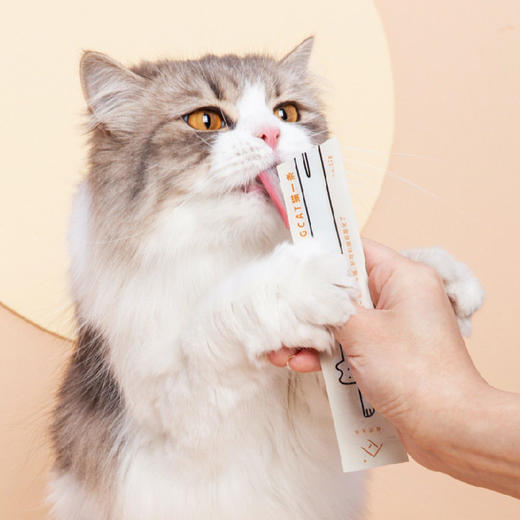 尾巴生活猫一条猫条零食猫咪肉泥营养湿粮无诱食剂成幼猫12g*6条 商品图3