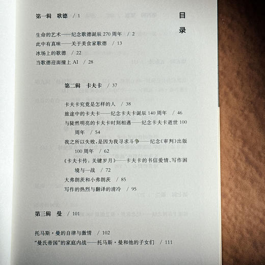 早上苍老 傍晚年轻 德语文学之镜 豆瓣2024年度译者黄雪媛首部文学随笔集 商品图6