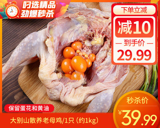 【预售-3月23日配送】大别山散养老母鸡/1只（约1kg）生产日期：3月19日 商品图0