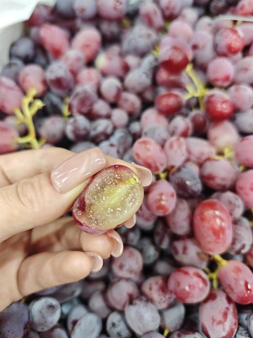 进口无籽红提 脆甜口感 硬度好 果粉足 39.9/斤 商品图0