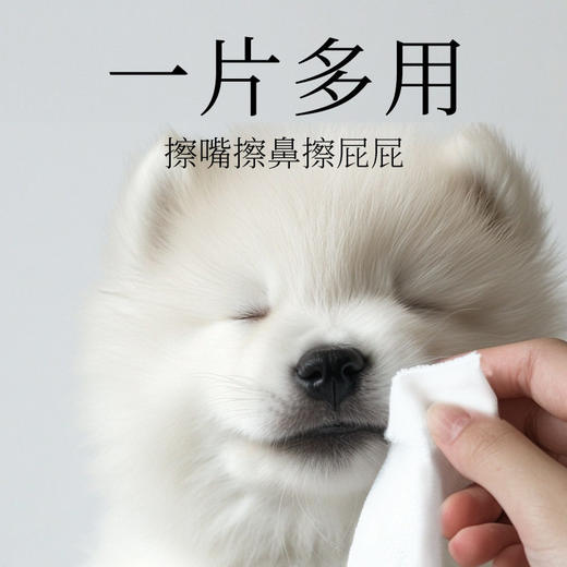 KOJIMA ECO跨境宠物湿巾猫狗用擦泪痕清理身体免洗除臭清洁湿纸巾 商品图3