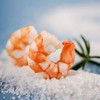 【鲜甜可口】盐田 有机生虾仁 200g/盒 肉质紧实味香浓郁【0527晚】 商品缩略图3