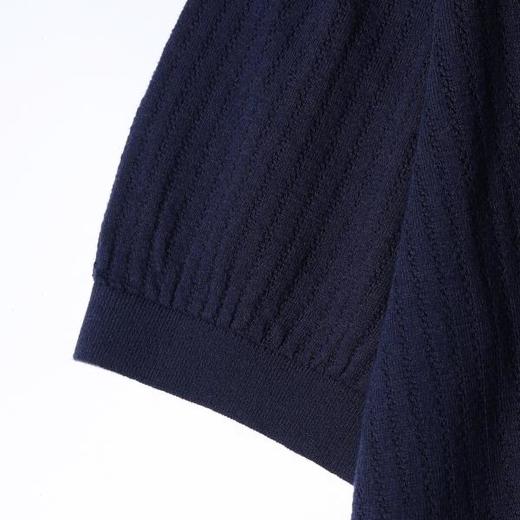 SDSA男装2026新款高贵轻奢简约纯色肌理海鸥领短袖T恤百搭休闲 商品图3