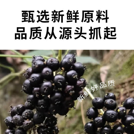 有机刺五加120g/罐 商品图2
