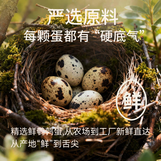 自由肉肉 富硒鲜卤鹌鹑蛋 180g/袋 （约18-22枚）精选鲜鹌鹑蛋 富硒认证 低GI晶炼黑糖 好吃不腻 独立包装开袋即食 商品图1