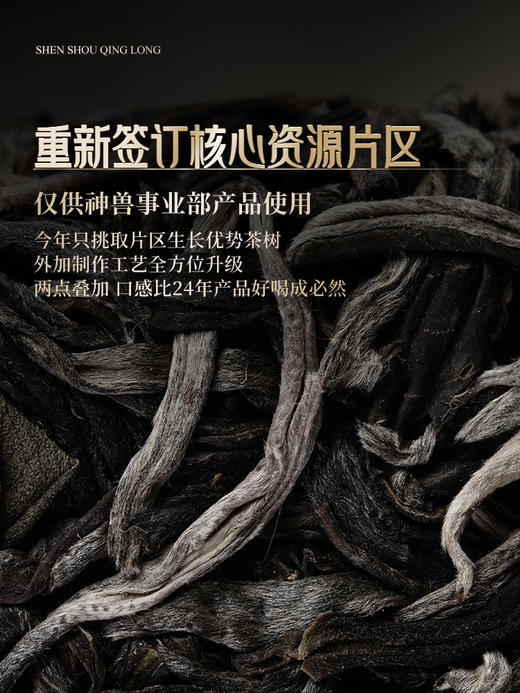 3月19日中午12点【2026年春茶预售】【神兽青龙】老班章古树占比90% 神兽事业部独立出品，超越纯料老班章的存在！357g/饼 限量60套；拍5箱发6箱 商品图3