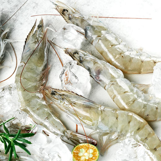 【原箱进口 厄瓜多尔南美白虾】（20-30大规格）净重3.3斤/盒 顺丰直发！ 商品图5