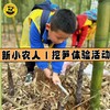 【江北大放送】59元/一组| 新小农人体验式自助挖笋（挖笋+采竹芯+品竹茶） 商品缩略图0