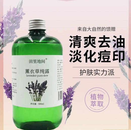 田里地间 薰衣草纯露/玫瑰纯露 新疆产地直发 干净天然 补水保湿 滋润肌肤 500ml/瓶 商品图5