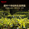 澜沧古茶2024年景迈春香普洱茶生茶小方片160g(4g*40) 商品缩略图1