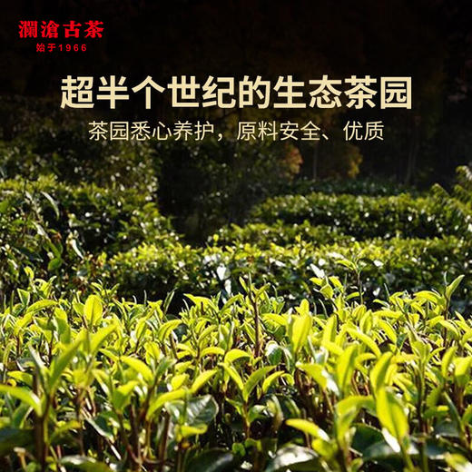 澜沧古茶2024年景迈春香普洱茶生茶小方片160g(4g*40) 商品图1