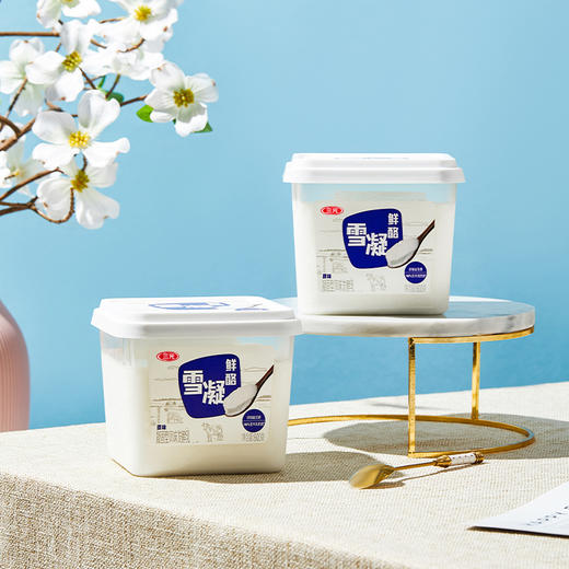 【快递到家-低温】三元雪凝鲜酪盒装风味发酵乳原味800g*2 商品图5