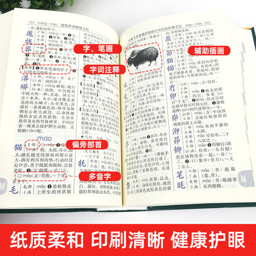 新编学生字典：双色本 商品图2